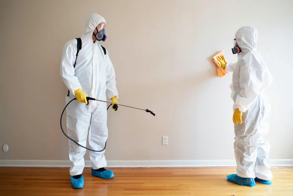 sprzątanie po zgonach